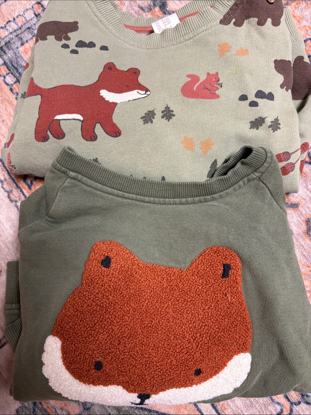Kids Woodland Fox Sweatshirt Set of 2
